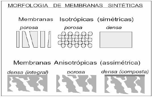 Membranas (A) simétricas (isotrópica) e assimétricas (anisotrópica).